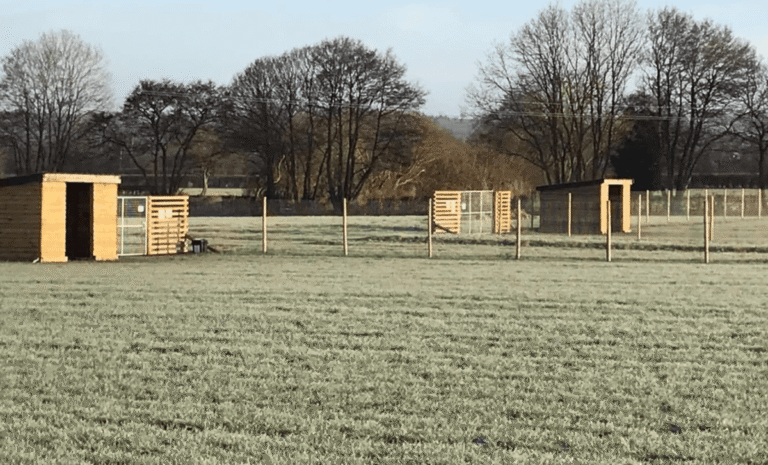 K9 Fields Easingwold