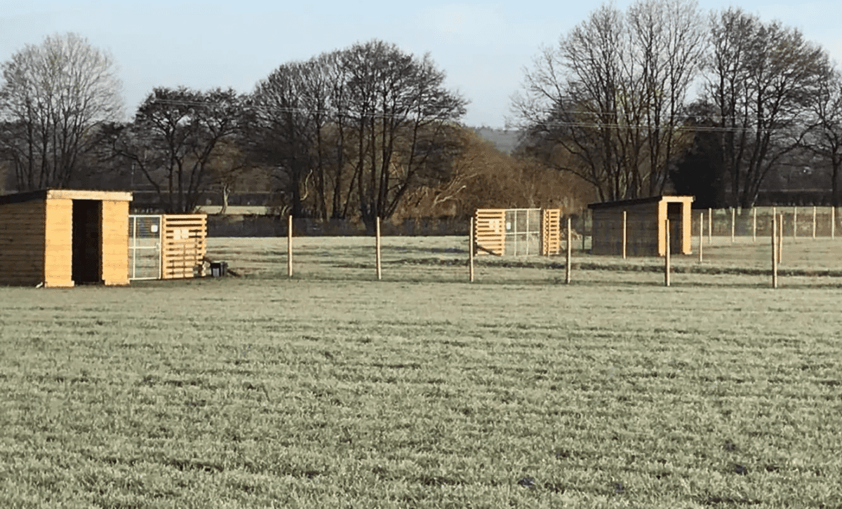 K9 Fields Easingwold