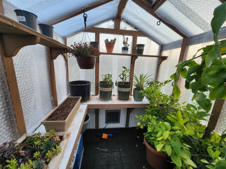 How Much Bubble Wrap for 8x6 Greenhouse