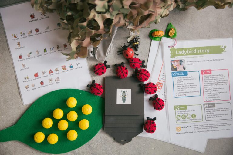 Sensory Stories Ideas