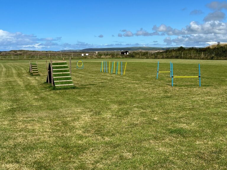Skerne View Dog Field