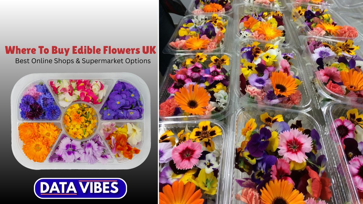 Where To Buy Edible Flowers UK